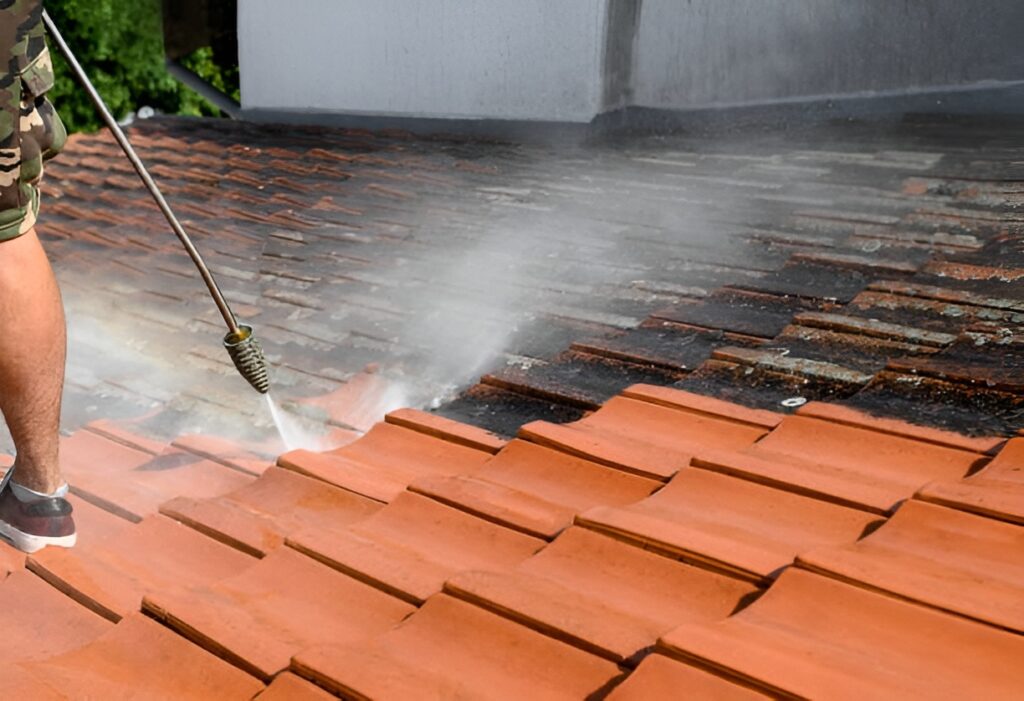 roof cleaning